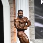 Hadi  Choopan - IFBB Olympia 2020 - #1