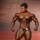 An  Nguyen - IFBB Wings of Strength Tampa  Pro 2014 - #1