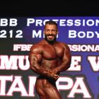 Fernando    Noronha De Almeida - IFBB Tampa Pro 2018 - #1