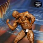 Guy  Ducasse - IFBB Europa Phoenix Pro 2013 - #1