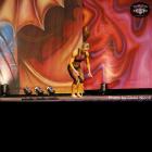 Bethany  Wagner - IFBB Europa Phoenix Pro 2013 - #1