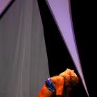 Liza  Hughes - IFBB Fort Lauderdale Pro  2009 - #1