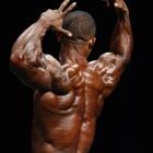 Troy  Alves - IFBB Phoenix Pro 2011 - #1