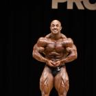 Sasan  Heirati - IFBB New York Pro 2017 - #1