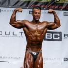 Aramis  Gianetta - IFBB Austria Cup 2014 - #1